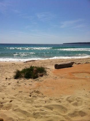 Lucky - formentera